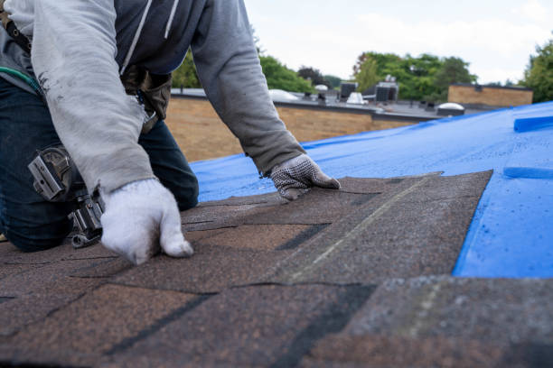 Waterproofing in Nixon, TX